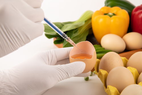 雞蛋食品安全農業科技食品培育攝影圖 插畫 下載至來源處